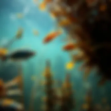 An underwater view showcasing the ecological interactions among fish and aquatic plants in Lake Michigan.