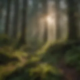 Lush forest landscape of Snoqualmie showcasing its rich biodiversity