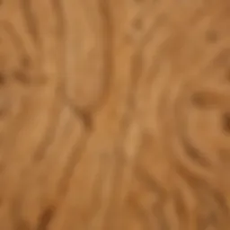 Close-up of Alaskan Yellow Cedar wood grain showcasing its intricate patterns