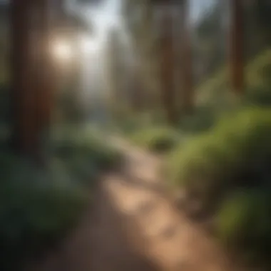 Scenic hiking trail leading through the lush vegetation of Big Pine Canyon