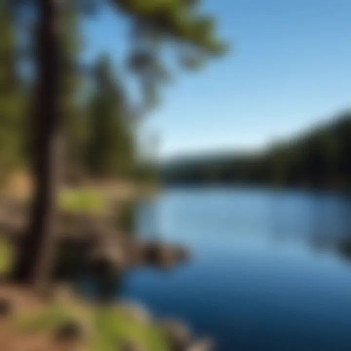 Notable Exploring Black Bear Lake Camp: A Comprehensive Guide Notable Exploring Black Bear Lake Camp: A Comprehensive Guide