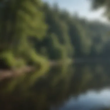 A tranquil lake surrounded by lush greenery in the Blue Ridge region