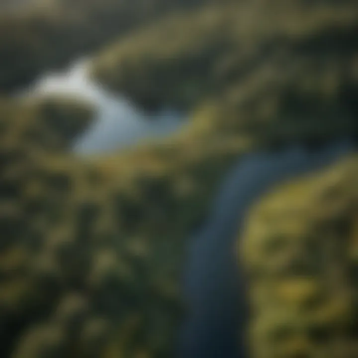 An aerial view of a diverse landscape showcasing various ecosystems, highlighting the scope of wildlife management.