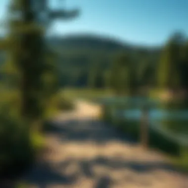Scenic Trails for Recreation by Cherry Lake Scenic trails for recreational activities near Cherry Lake