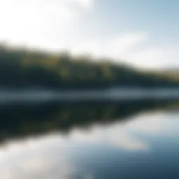 A serene view of Cherry Lake reflecting the surrounding trees
