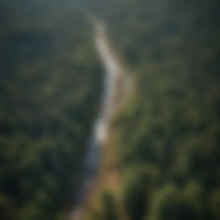 Aerial view of a forest showcasing photogrammetry mapping techniques