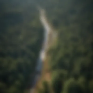 Aerial Mapping Techniques in Forestry Aerial view of a forest showcasing photogrammetry mapping techniques
