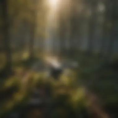 Drones in Aerial Photogrammetry Applications Drones capturing images for aerial photogrammetry in a woodland
