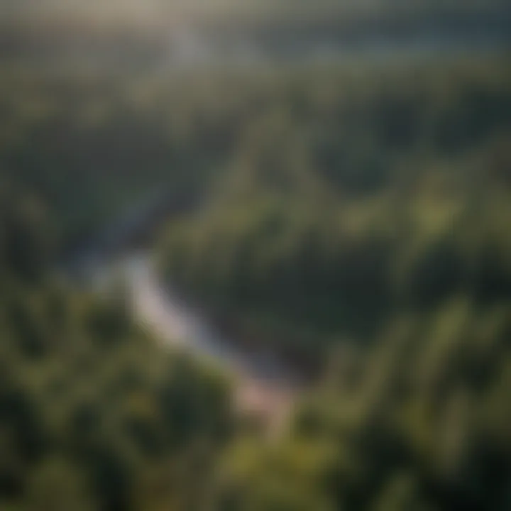 Close-up of photogrammetry software analyzing forest data