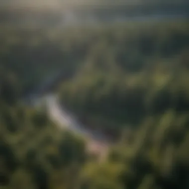 Advanced Software for Photogrammetry Analysis Close-up of photogrammetry software analyzing forest data
