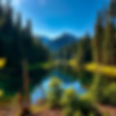 Exploring Echo Lake Fishing: An In-Depth Examination Introduction