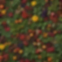 A vibrant assortment of wild edible plants native to West Virginia.