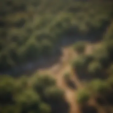 Aerial view of the lush landscape at Fossil Creek Tree Farm