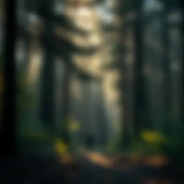 Exploring GIS Positions in Forestry: Opportunities and Paths Introduction Exploring GIS Positions in Forestry: Opportunities and Paths Introduction