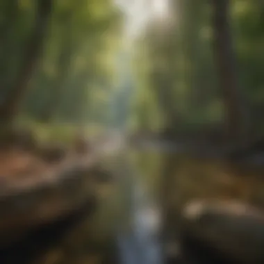 Wildlife observed along the Green River Lake Trails in their natural habitat