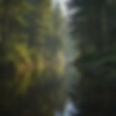 Scenic view of the forest surrounding Hemlock Lake, highlighting its ecological significance