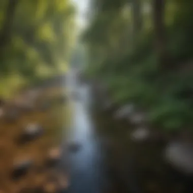 A tranquil stream flowing beside a hiking trail, representing local ecosystem health