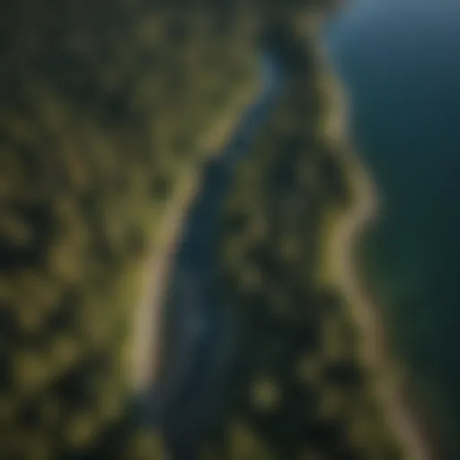 Aerial view of Hood Canal showcasing its stunning waterways and surrounding forested landscapes