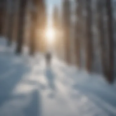 A skier navigating the slopes at Jackson Hole Ski Area during winter