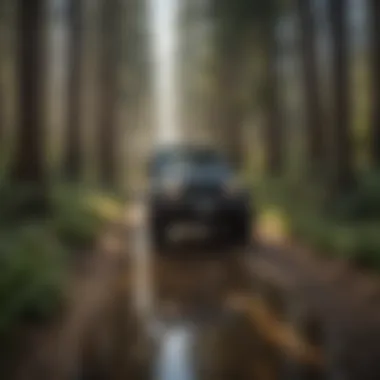 A diverse landscape showcasing the unique ecology of Northern California