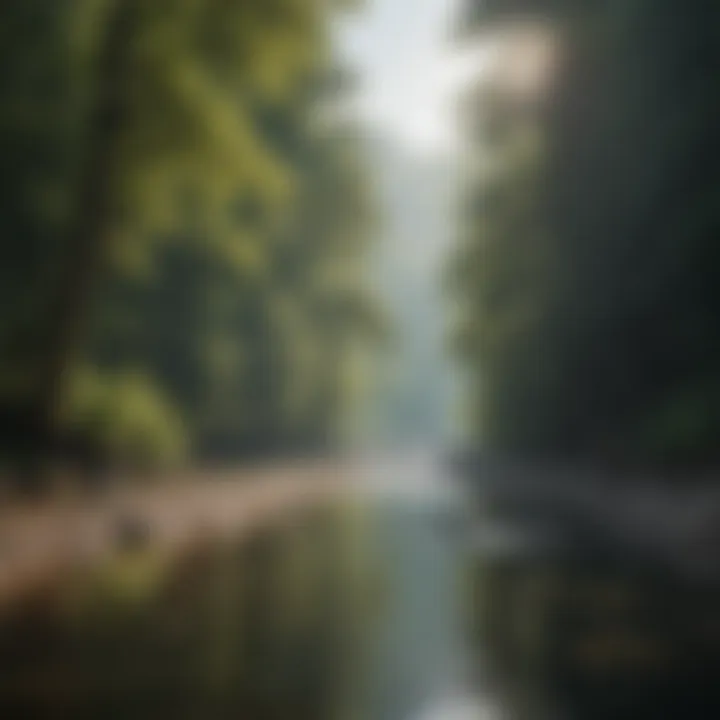 Serene river view perfect for kayaking in Kentucky