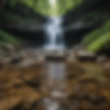 A close-up of the cascading water and rocky terrain of Laurel Falls