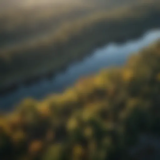 Aerial view of Meadow Lake showcasing its surrounding forest ecosystem