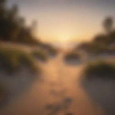 A serene view of a lake bordered by lush beach dunes at sunset