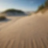 Vast sandy coastal dunes under a clear blue sky