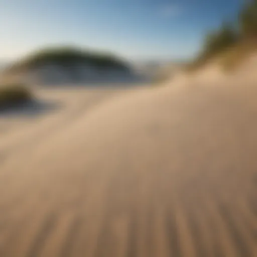 Vast sandy coastal dunes under a clear blue sky