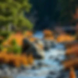 Exploring Middle Fork River Outfitters: A Comprehensive Examination Introduction