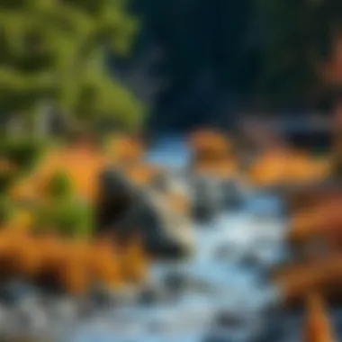 Exploring Middle Fork River Outfitters: A Comprehensive Examination Introduction