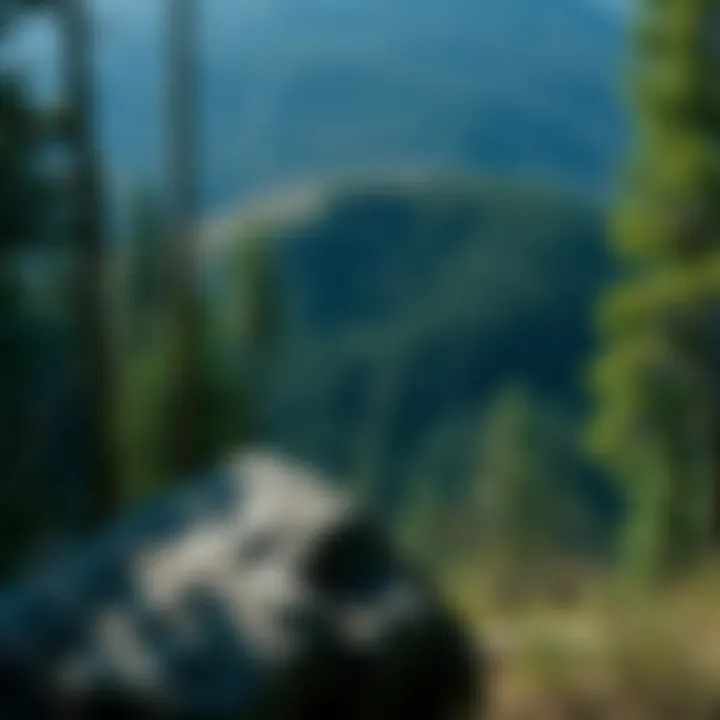 Exploring Monongahela National Forest: A Guide to Hiking Summary Exploring Monongahela National Forest: A Guide to Hiking Summary