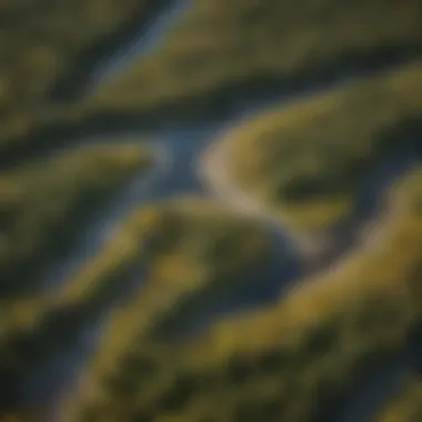 Moose Habitats and Tourist Trails An aerial view of a vast landscape showcasing moose habitats interspersed with tourist trails.