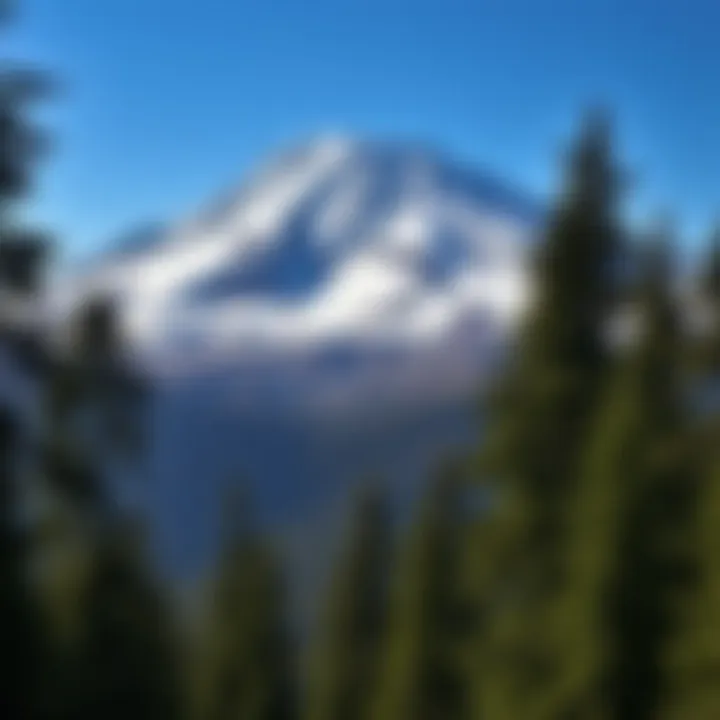 Exploring Mount Hood: An In-Depth Guide for a Day Trip Summary