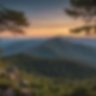 Panoramic view from the summit of Mount Mitchell