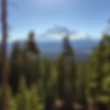 Exploring Mount Shasta: A Comprehensive Guide to Activities and Experiences Summary Exploring Mount Shasta: A Comprehensive Guide to Activities and Experiences Summary