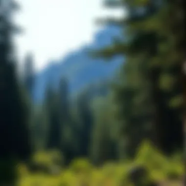 Exploring National Parks Passport Locations: A Comprehensive Guide Summary Exploring National Parks Passport Locations: A Comprehensive Guide Summary