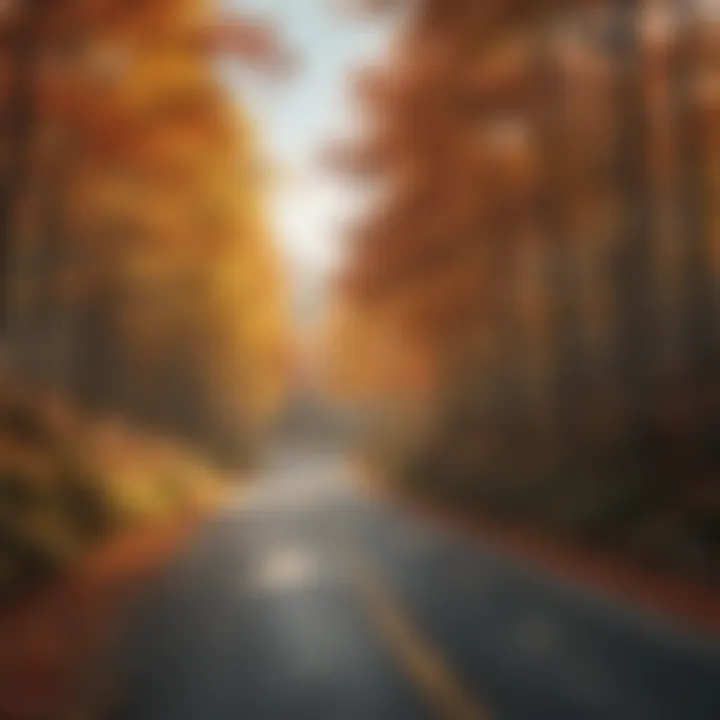 An iconic winding road surrounded by vibrant autumn foliage