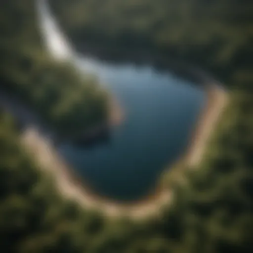 Aerial view of New Bullards Bar Reservoir showcasing its expansive waters surrounded by lush forests.