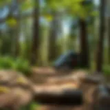 Exploring New Point Campground in Virginia: A Guide to Woodland Experience Introduction