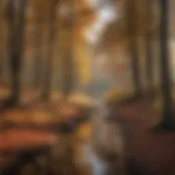 A serene view of Ohio's expansive hunting land during autumn