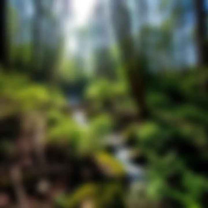 Exploring Panther Creek State Park: A Destination for Nature Enthusiasts Summary