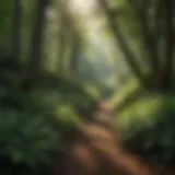 Lush greenery along Panther Creek Trails showcasing diverse plant life