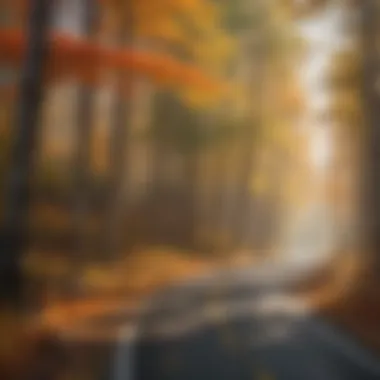 Vibrant Autumn Foliage along the Scenic Route Vibrant autumn foliage along the scenic route