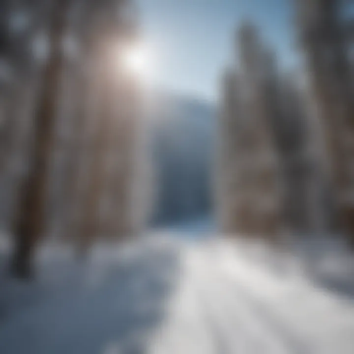 Skiers enjoying the slopes at Red River Ski Resort