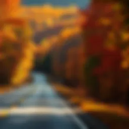 A stunning autumn landscape along a winding road