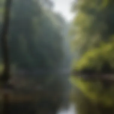 A picturesque scene of conservation efforts along the Chattooga River, showing the importance of preservation