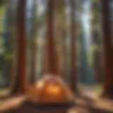 A panoramic view of Sequoia National Park campground under towering trees