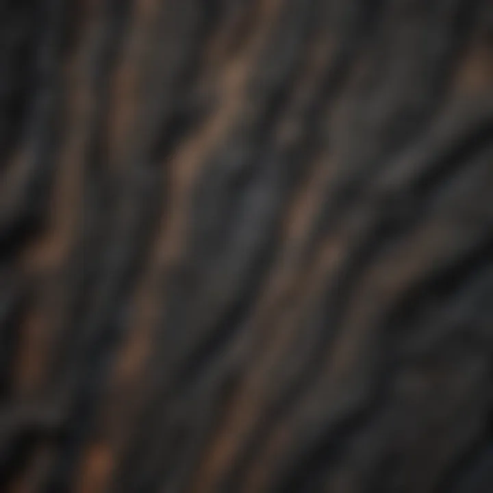 A close-up of the texture and pattern of charred wood showcasing its unique aesthetic